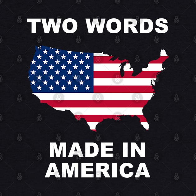 Two Words Made In America by KellyCollDesigns